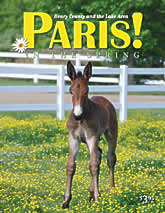 Spring 2012 cover