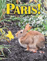 Spring 2011 cover