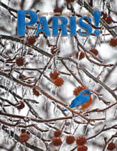 Winter 2010 cover