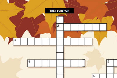 JUST FOR FUN: Crossword Puzzle Fun