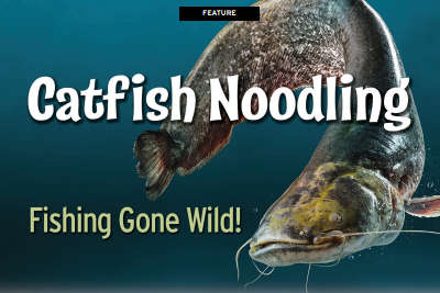FEATURE: Catfish Noodling - Fishing Gone Wild!