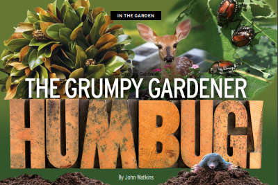 IN THE GARDEN: The Grumpy Gardener - HUMBUG!