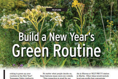 FEATURE: Build a New Year's Green Routine