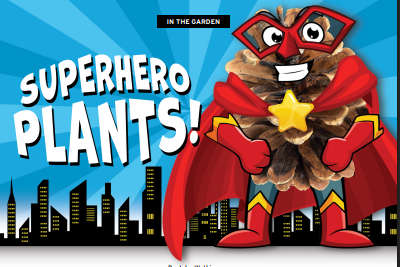 IN THE GARDEN: Superhero Plants