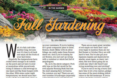 IN THE GARDEN: Fall Gardening